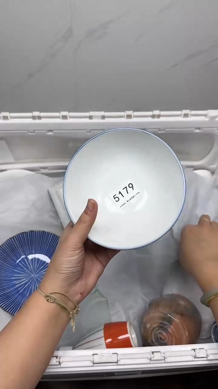 【闪购商品】5179回流瓷器默认微瑕，18.8包邮