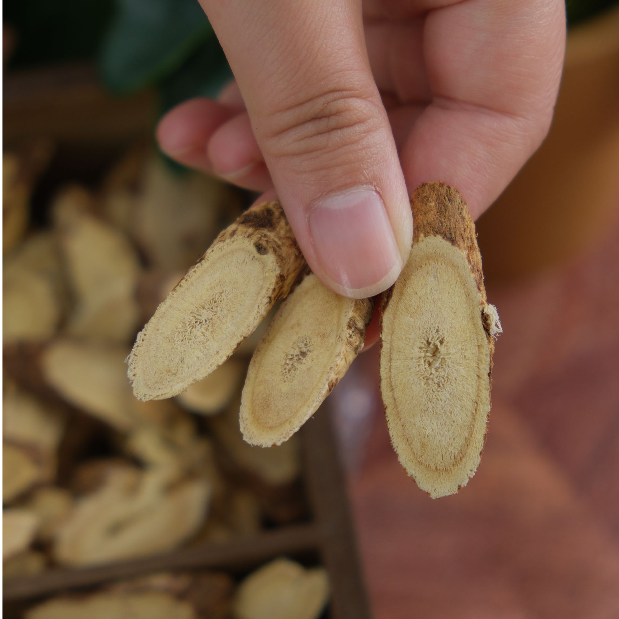 广元创佳紫皮龙眼黄芪大片无硫新货泡水煲汤炖肉中药