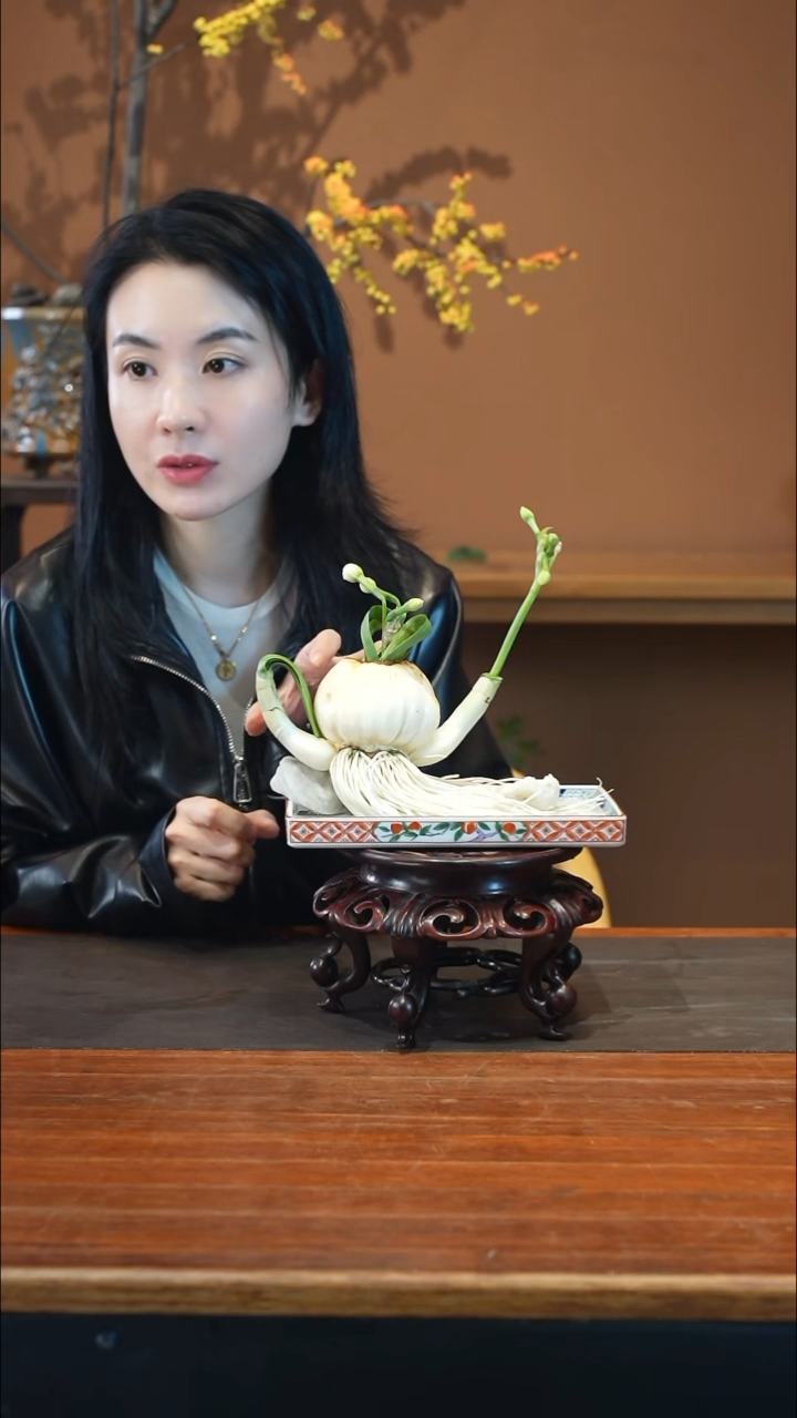 全部花朵水仙花球盆景盆景