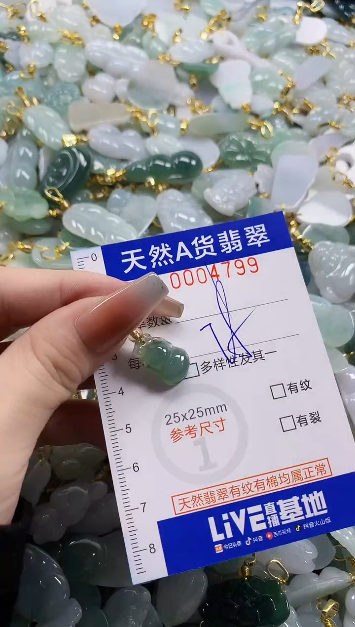 颈饰未镶嵌翡翠天然A货翡翠