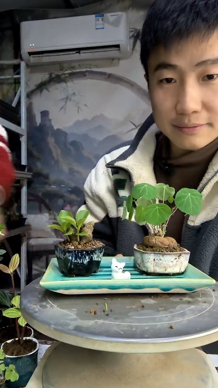 l*y中青园艺一物一拍111