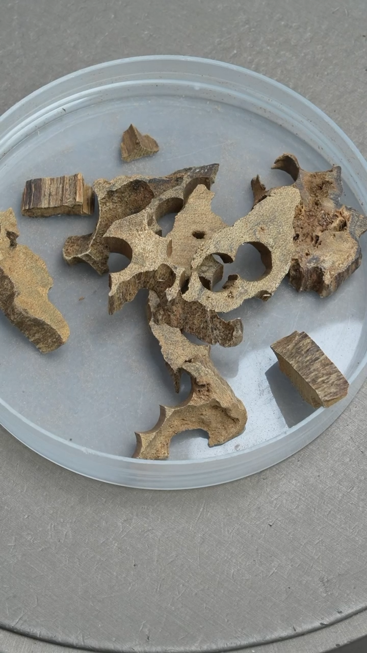 【闪购商品】沉香吊坠文莱沉香碎料5克【颗粒大小不同随机搭配】