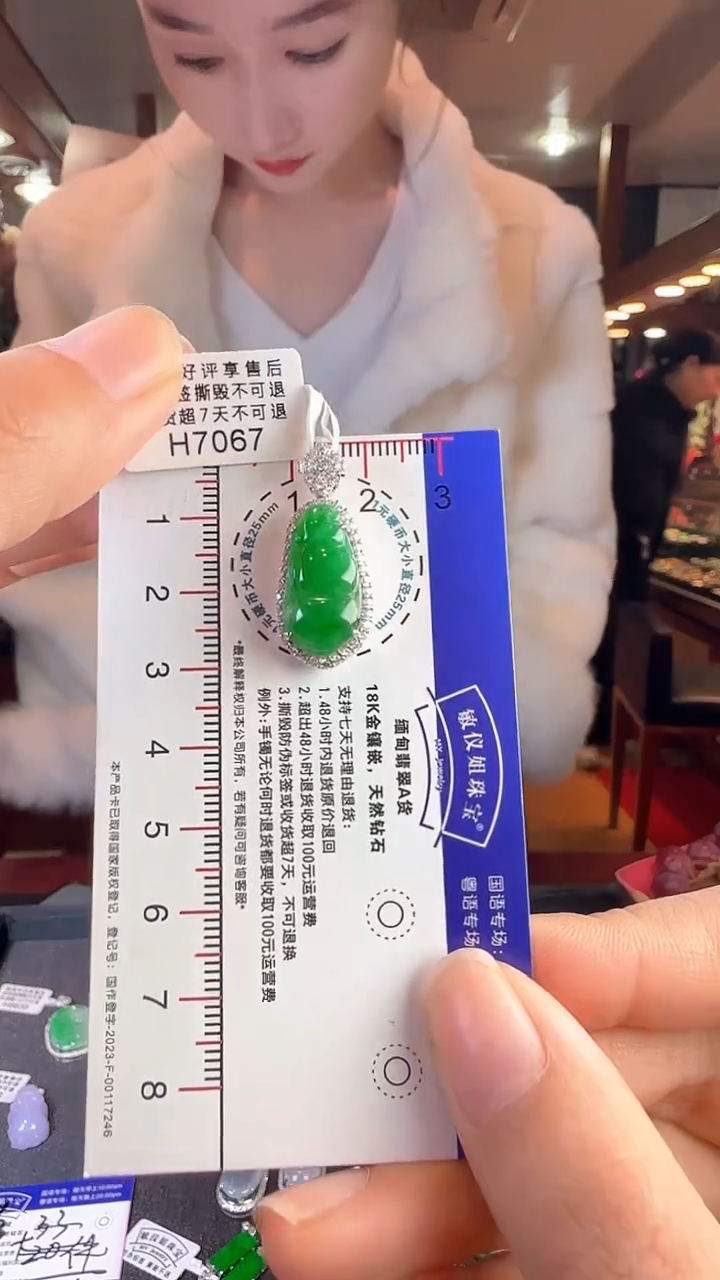 【闪购商品】翡翠颈饰18K金镶嵌H7067阳绿富贵豆