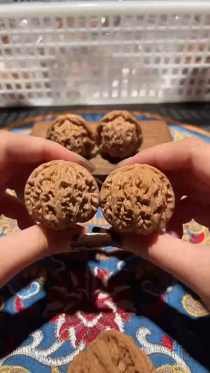 把件文玩核桃003 白狮子