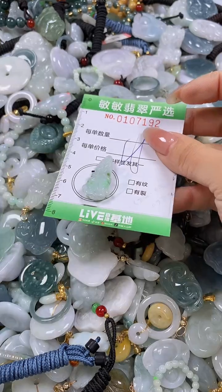 【闪购商品】翡翠颈饰未镶嵌闪购0107192