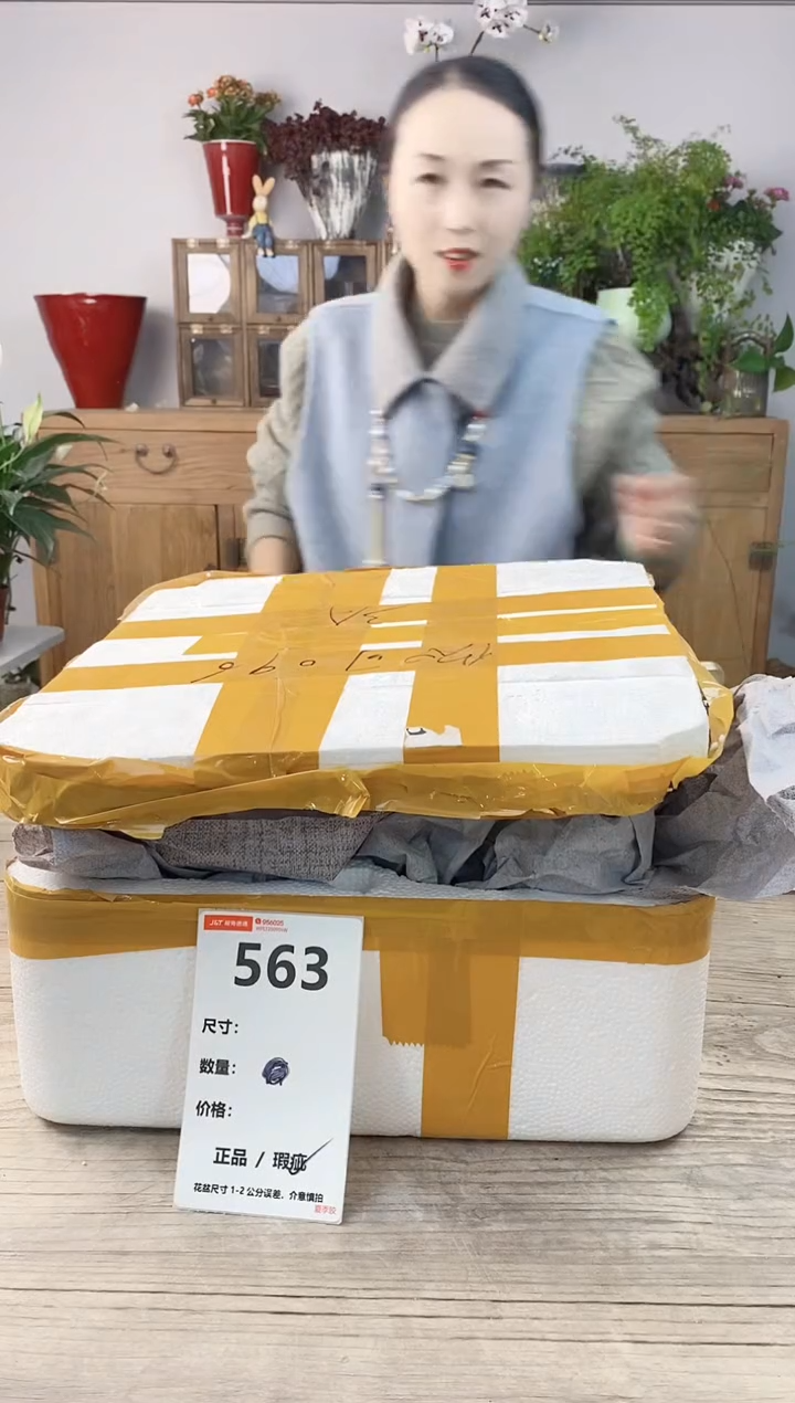 小玩子花盆直播编号563