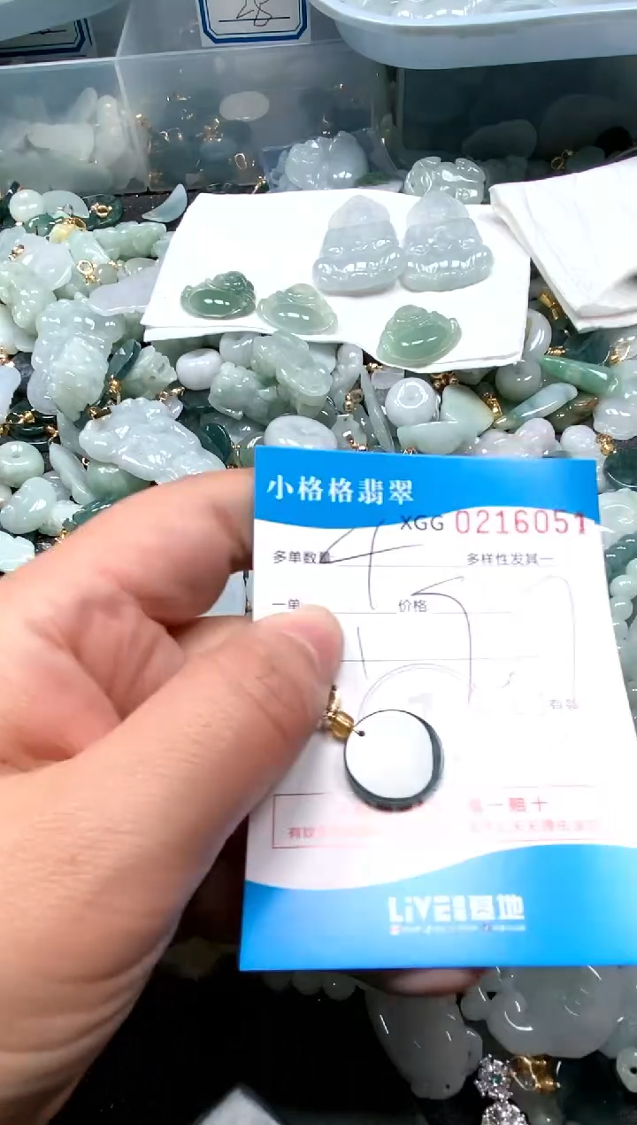 【闪购商品】翡翠颈饰未镶嵌闪购商品0216051多样性