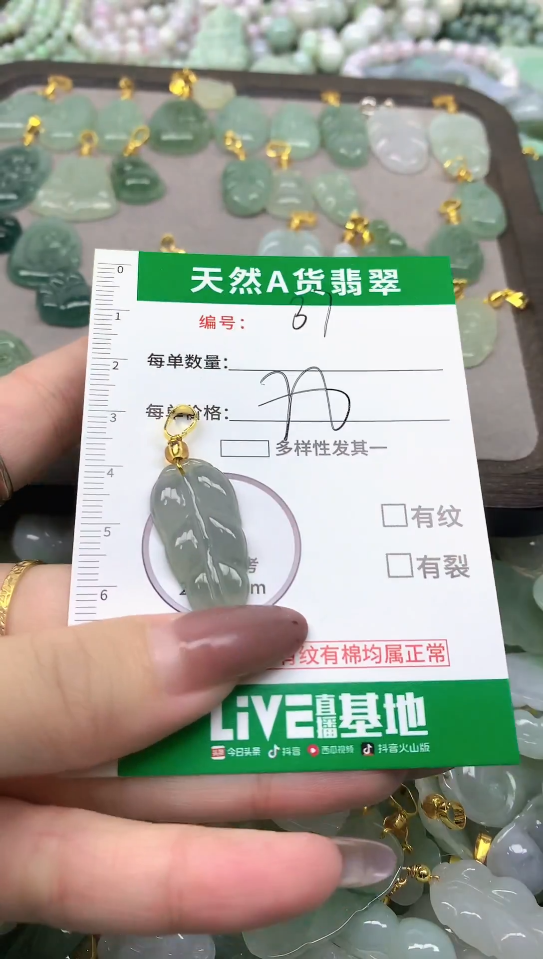 颈饰未镶嵌翡翠纯天然缅甸A货翡翠-37