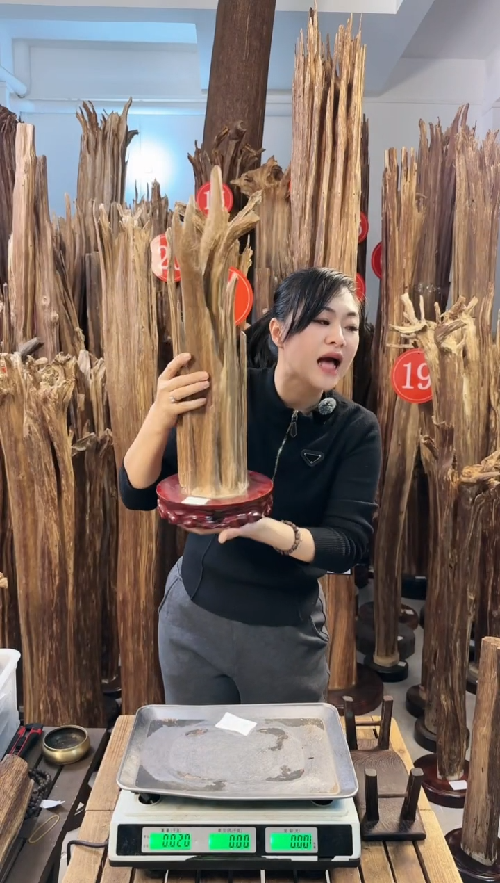 【闪购商品】沉香摆件沉香摆件多样性发一件13