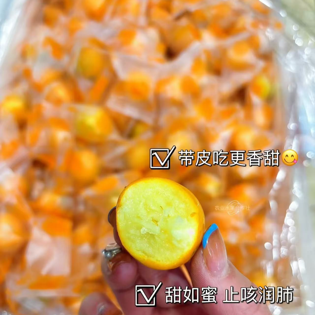 新鲜脆蜜金柑1盒1斤左右山东省