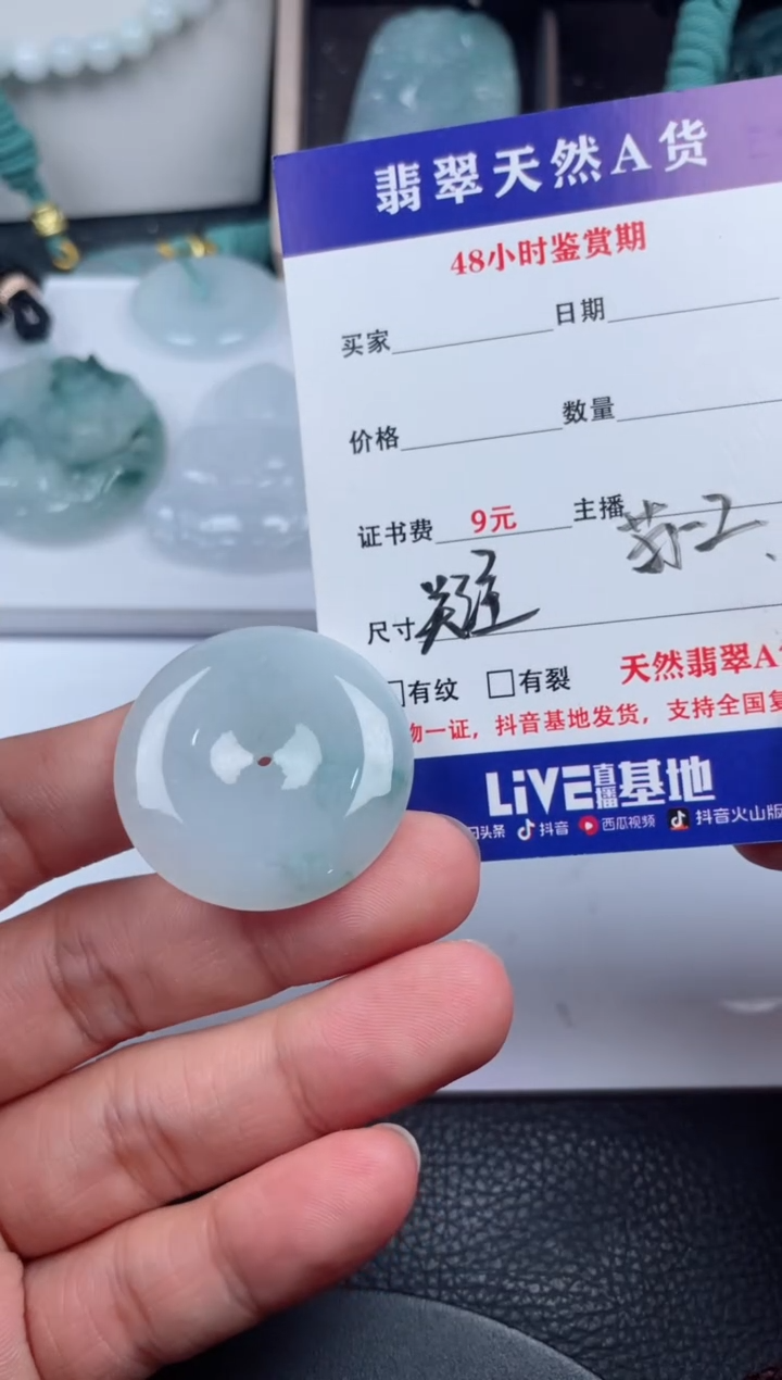 翡翠未镶嵌颈饰         