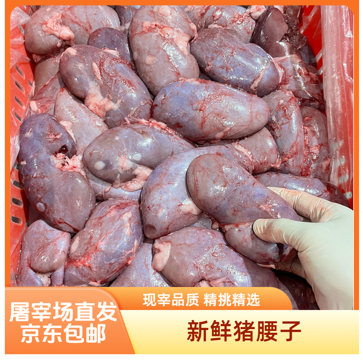屠宰场现宰现发 新鲜猪腰子 