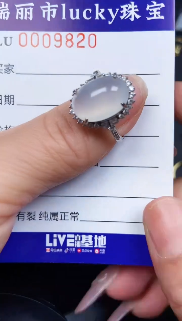 翡翠银S925镶嵌颈饰9820