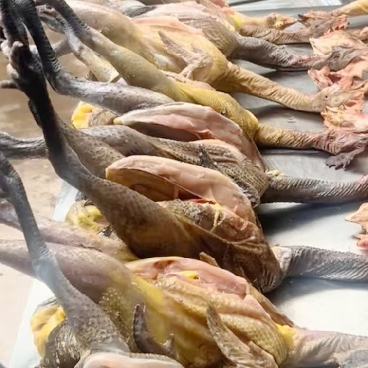 一物一拍专属链接烧烤食材