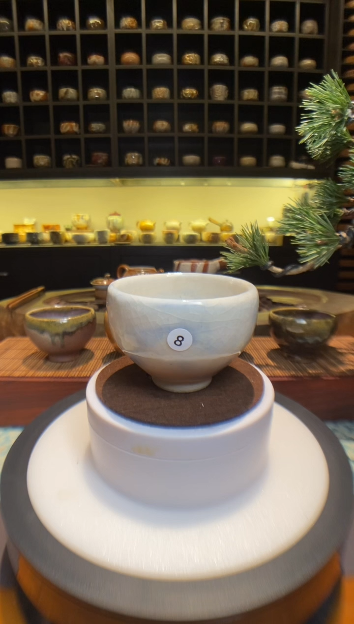 【台湾净窑】柴烧志野8-特价