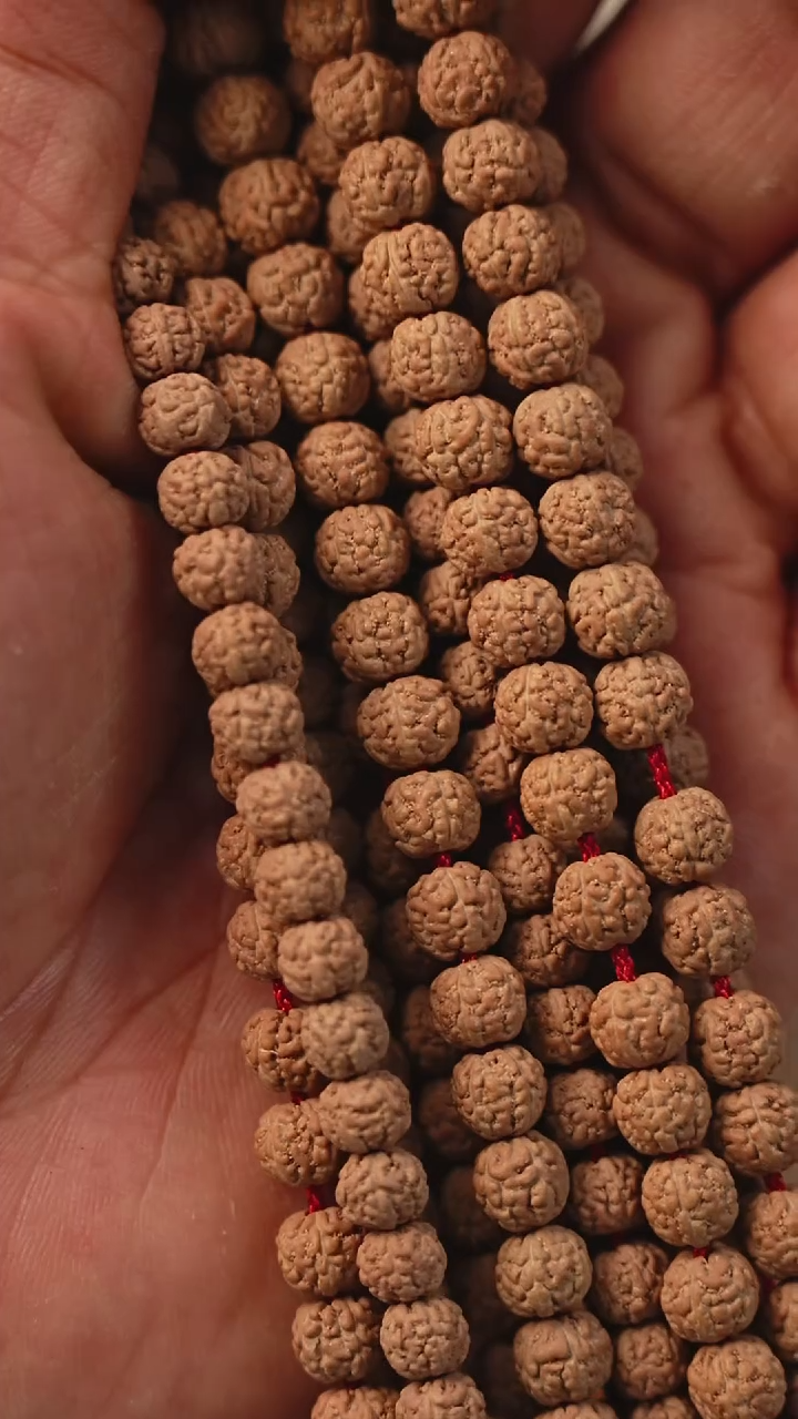 吊坠金刚菩提S01闷墩一代龙108尺寸6~7mm