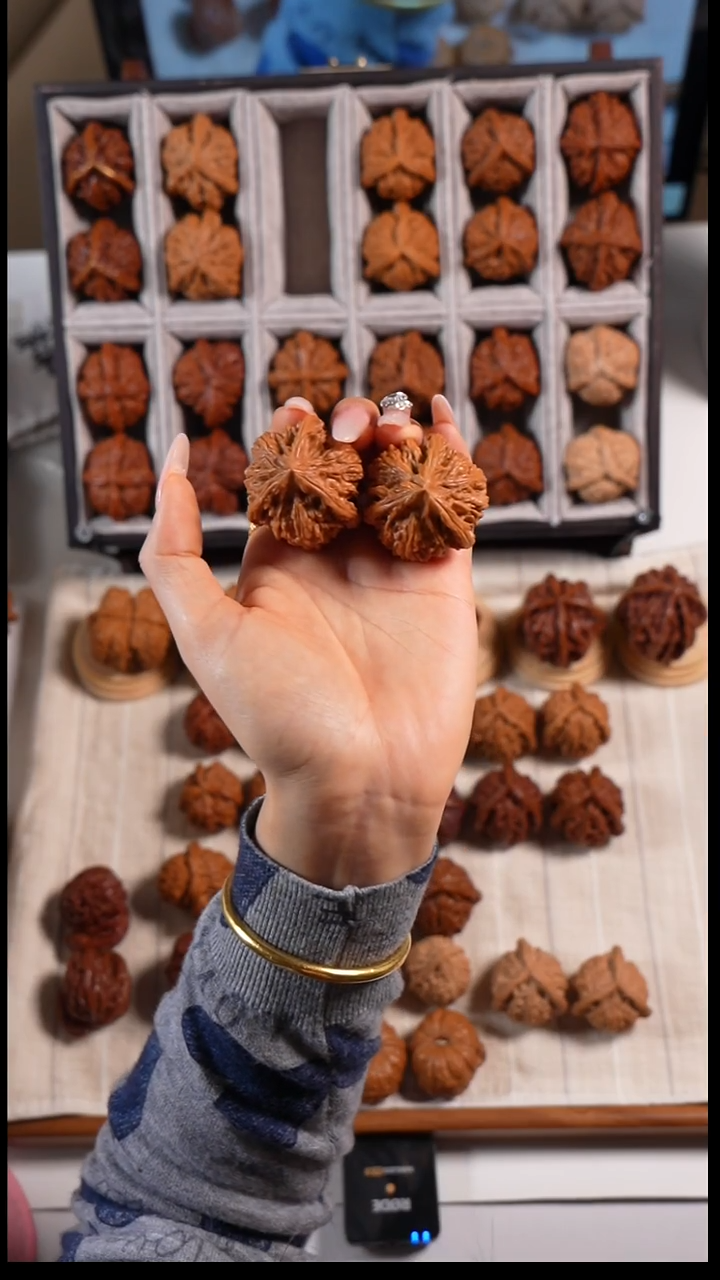 核桃御龙粗筋奔666