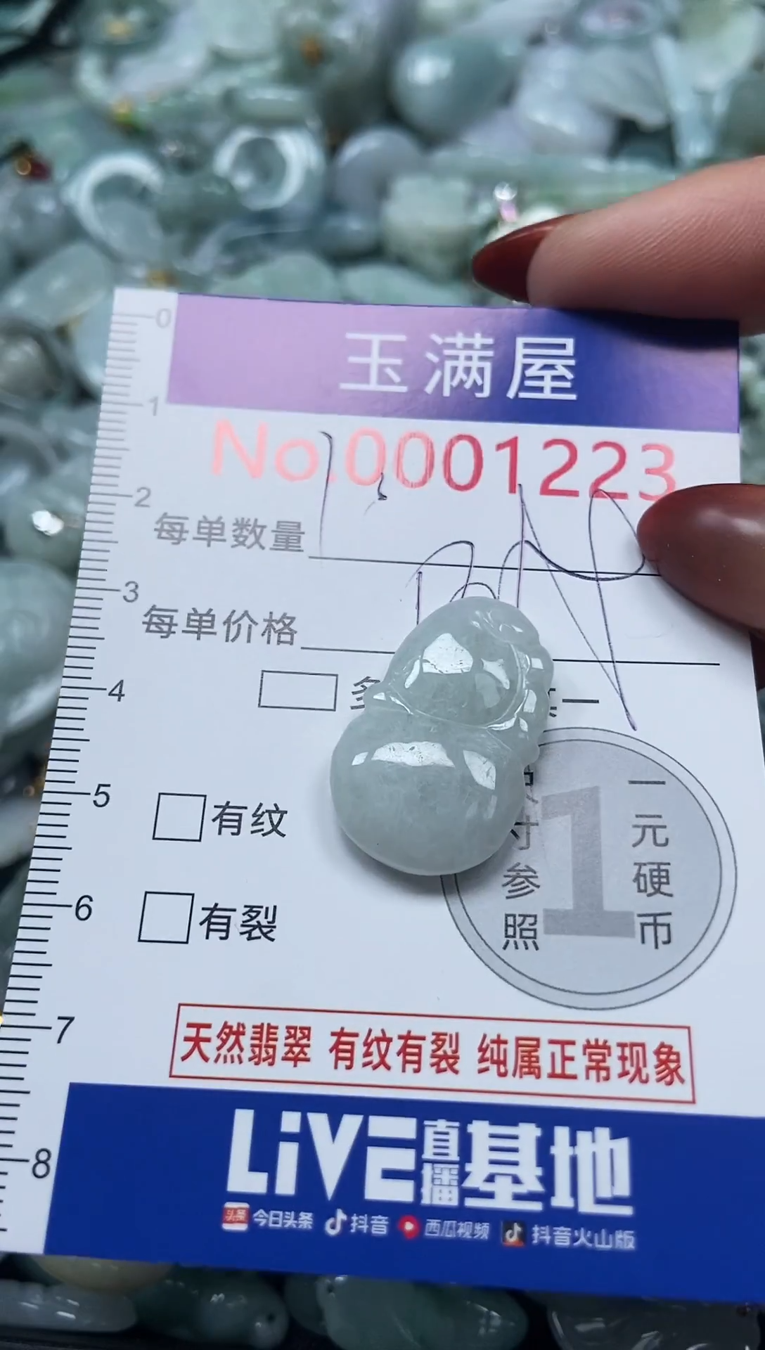 颈饰未镶嵌翡翠1223