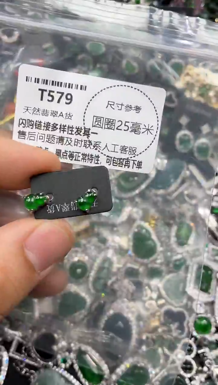 颈饰未镶嵌翡翠T579耳钉