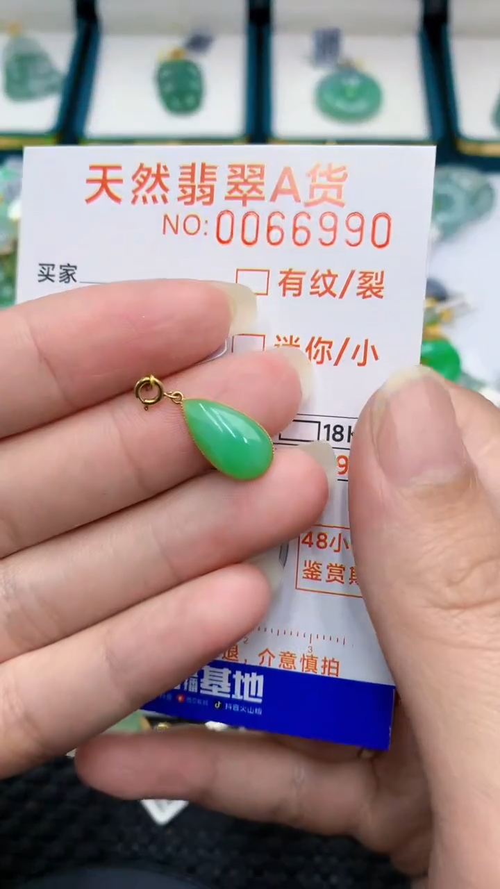 【闪购商品】翡翠颈饰18K金镶嵌            8