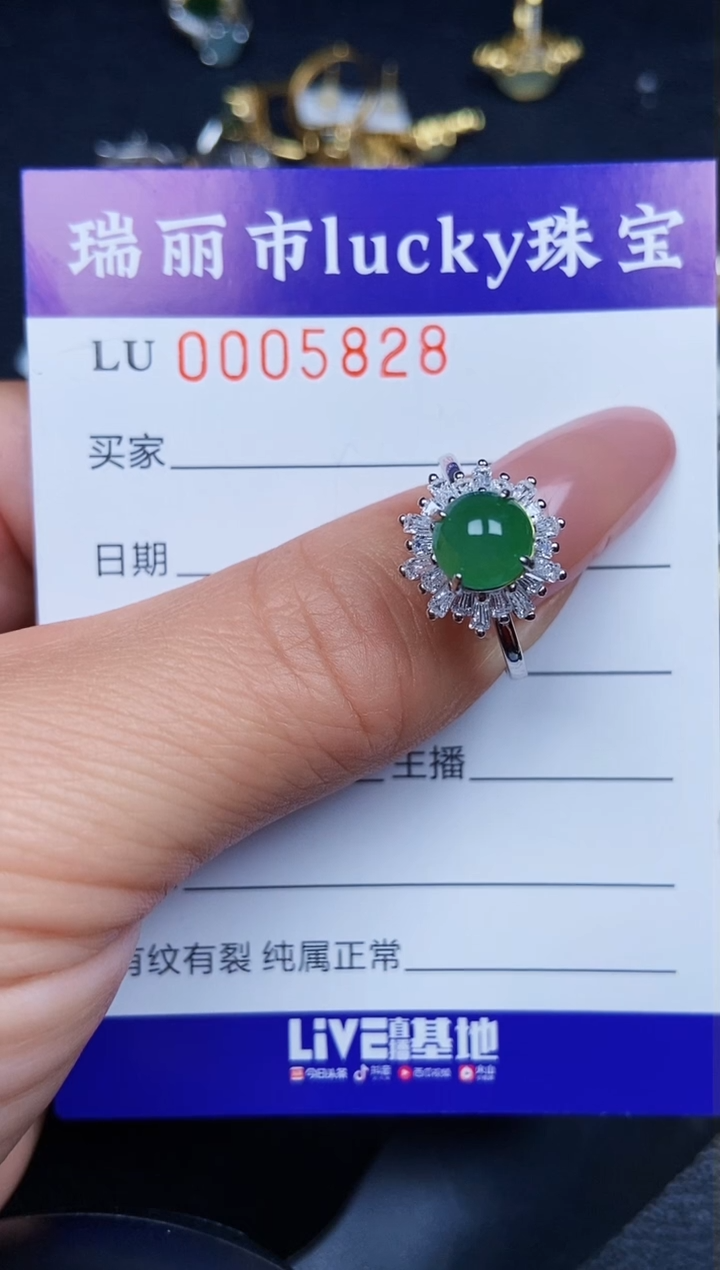 翡翠银S925镶嵌颈饰5828