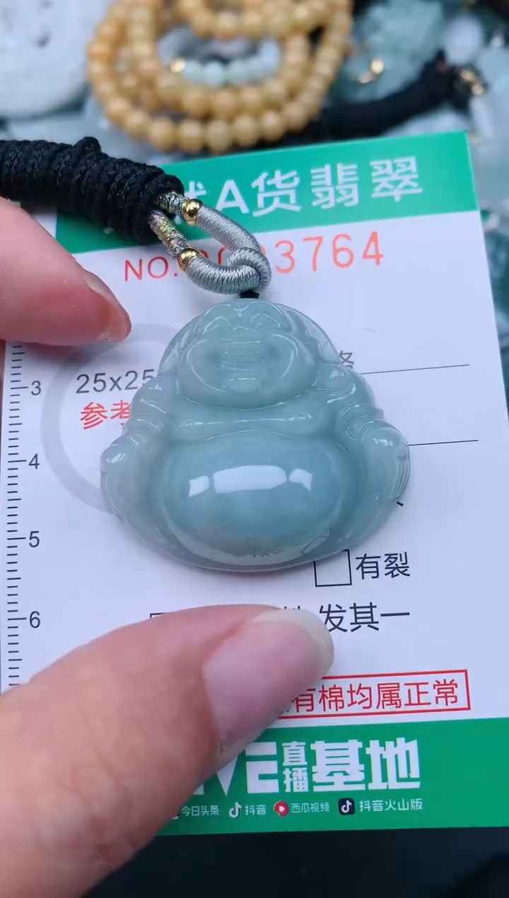 翡翠未镶嵌颈饰.0003764