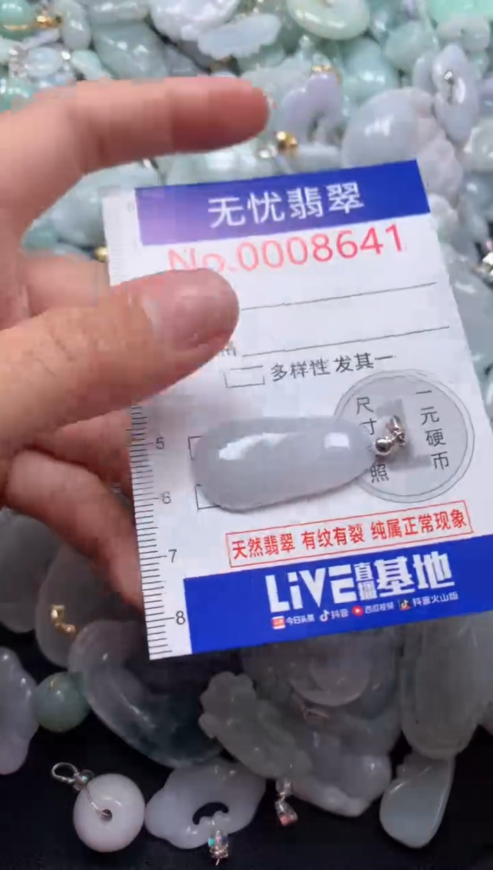 颈饰未镶嵌翡翠8641