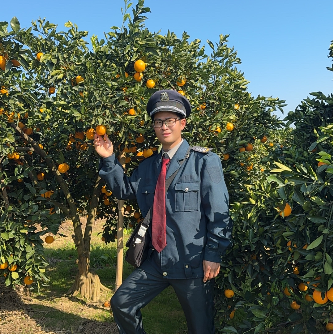 【顺丰包邮】湖南麻阳锦蜜橙子新鲜水果纯甜口感果园现摘现发