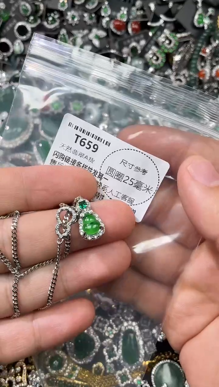 翡翠未镶嵌颈饰T659项链