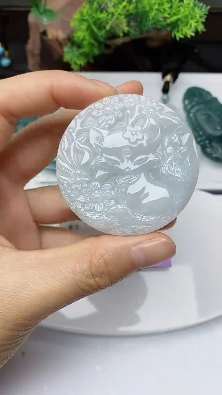 【闪购商品】翡翠颈饰未镶嵌