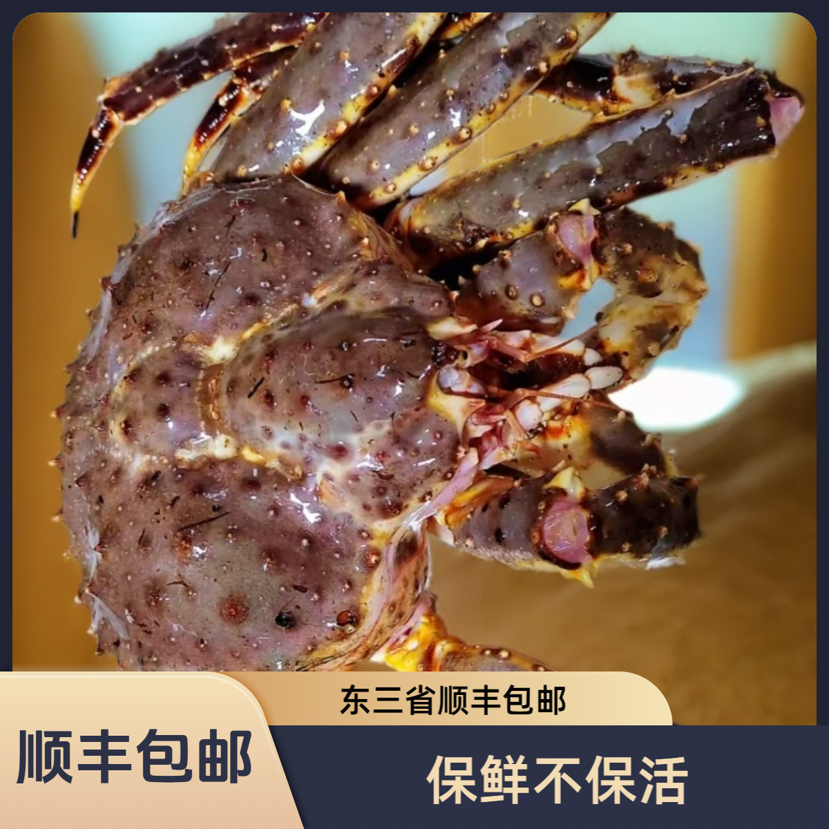 山水水产红毛蟹（8%-10%掉水）/斤