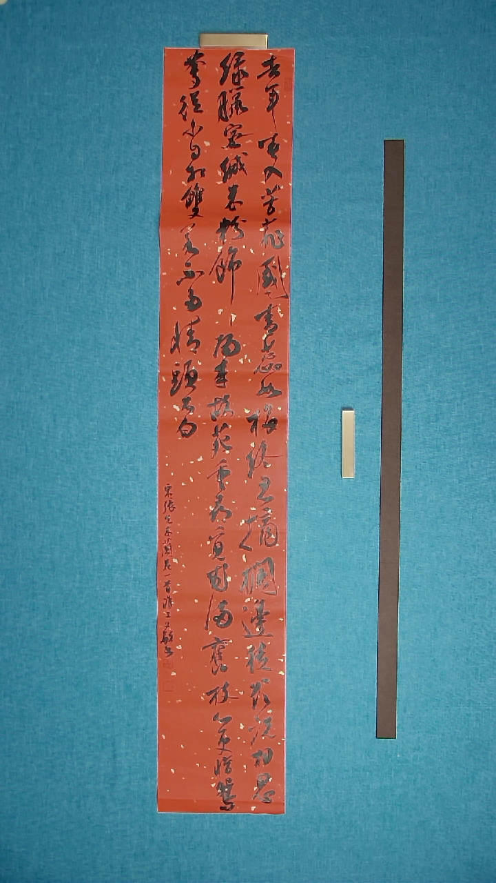 【闪购商品】书法205 江苏张文敏中书协138*24