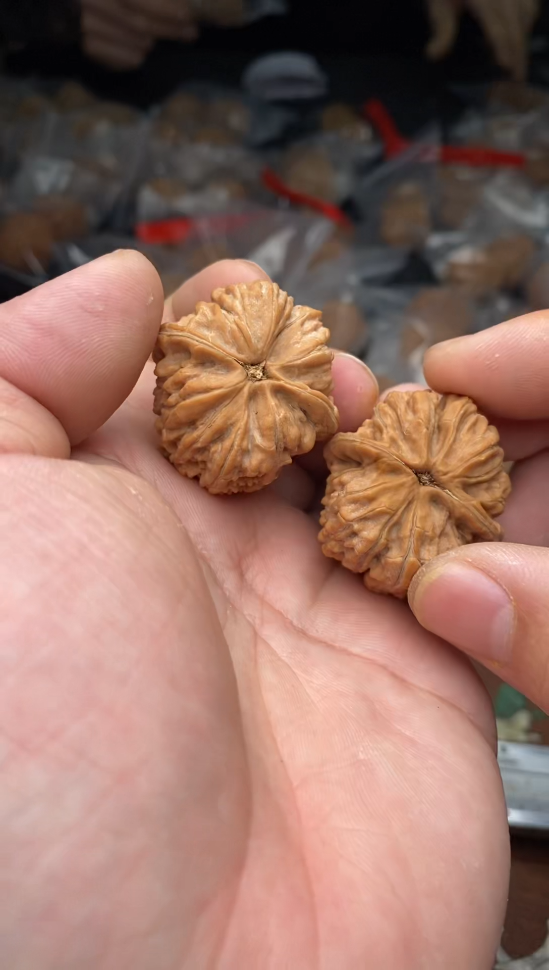 【闪购商品】文玩核桃把件B136号34尺兴隆