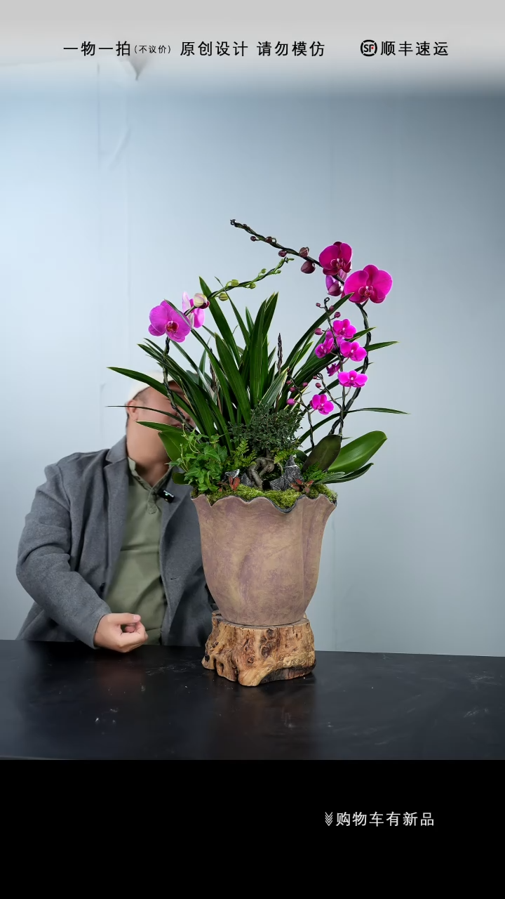 【闪购商品】081号链接【一物一拍】艺术盆景