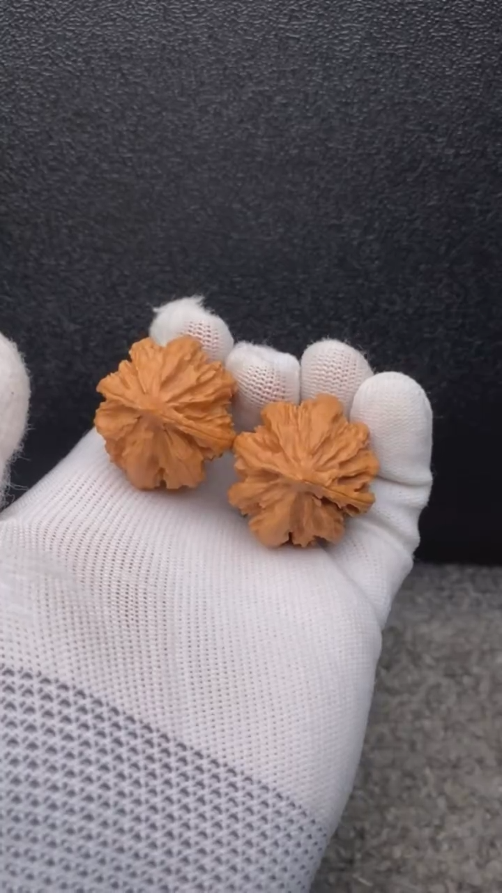 【闪购商品】文玩核桃把件暴龙