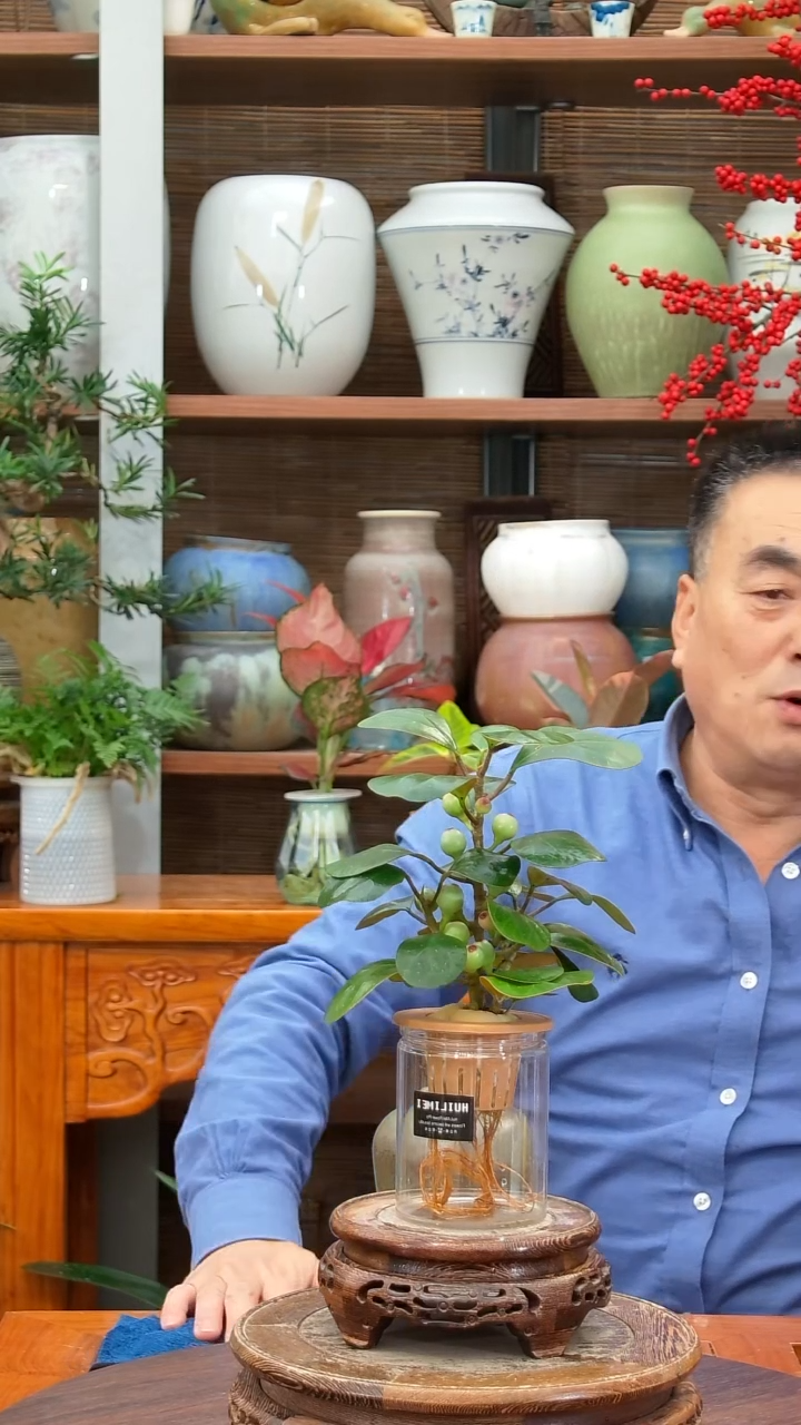 无花朵上**秀水之韵水培菩提