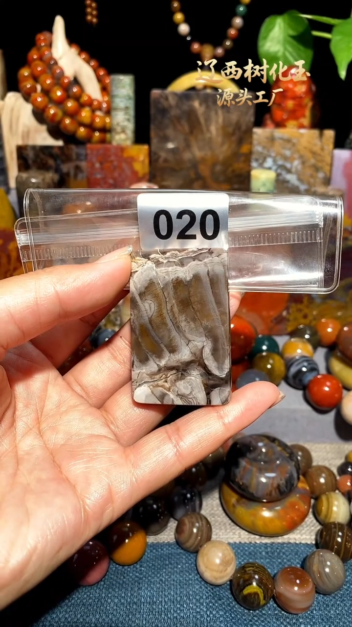 未镶嵌-硅化玉天然北票硅化玉吊坠