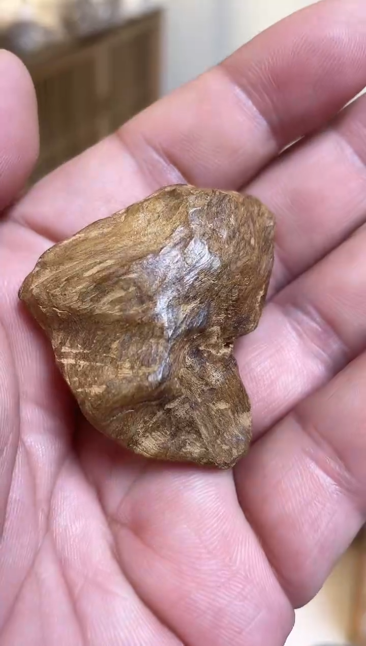 【闪购商品】沉香吊坠达拉干吊坠多样性发其一