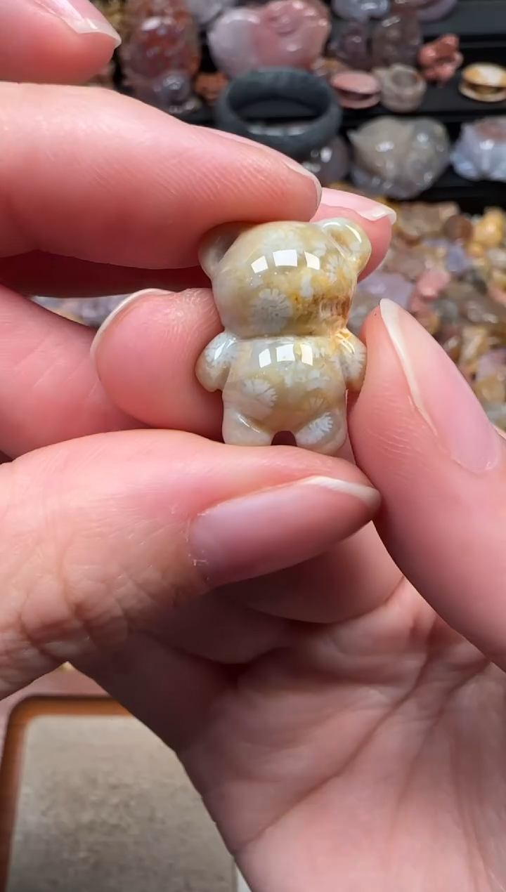 颈饰未镶嵌硅化珊瑚（珊瑚玉）318