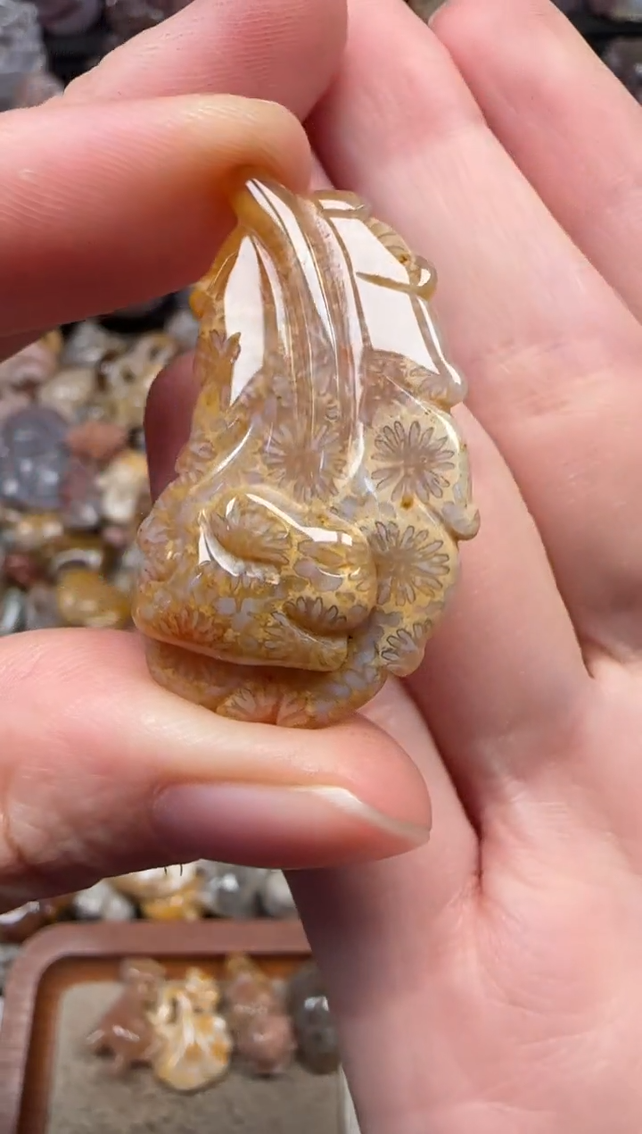 颈饰未镶嵌硅化珊瑚（珊瑚玉）150