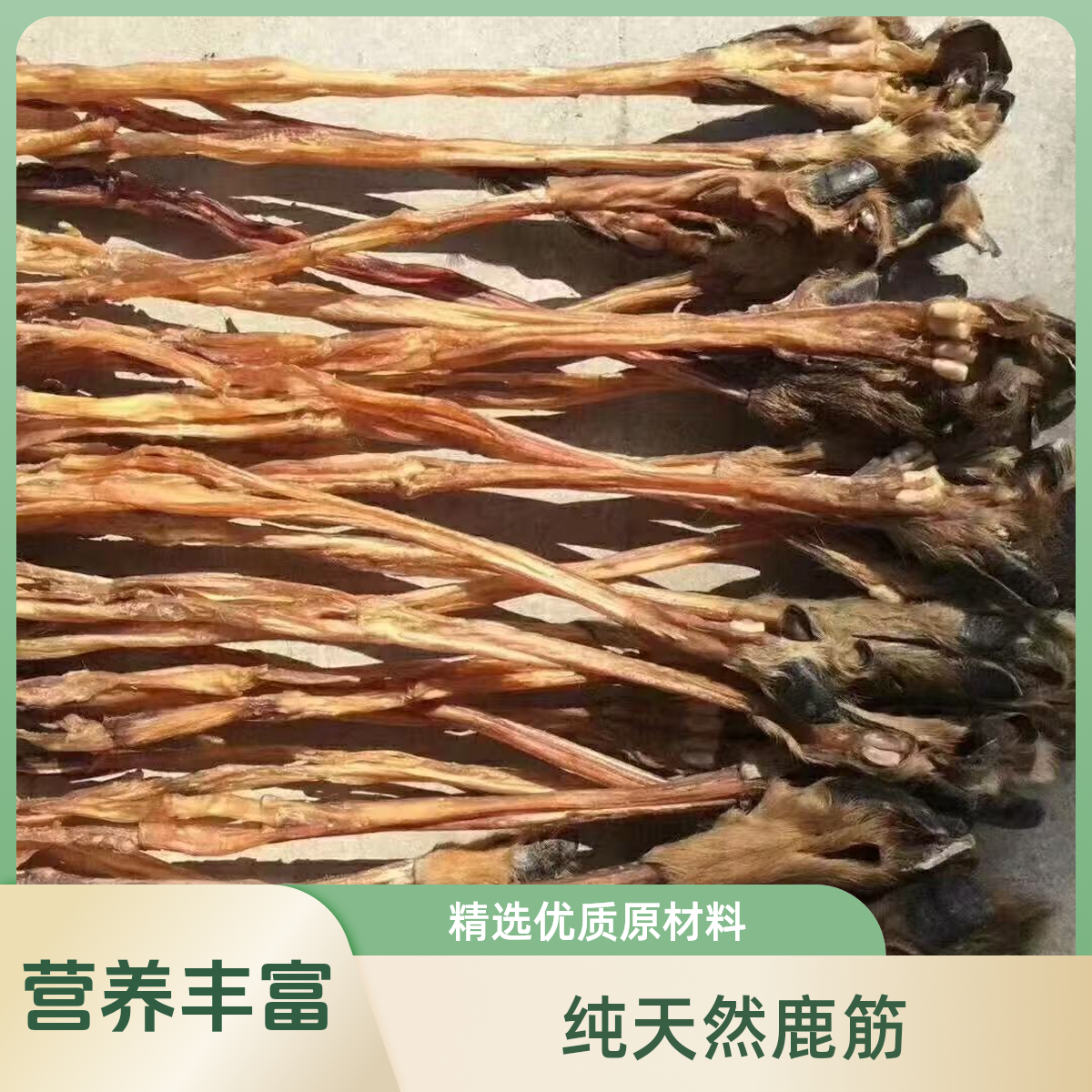 吉林长春双阳鹿乡直发鲜鹿茸蹄筋