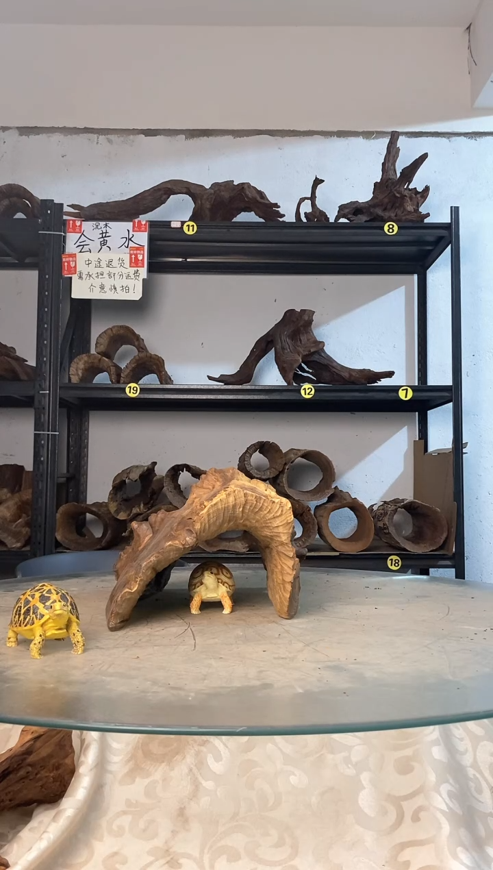 焦*?鱼缸爬宠造景素材768