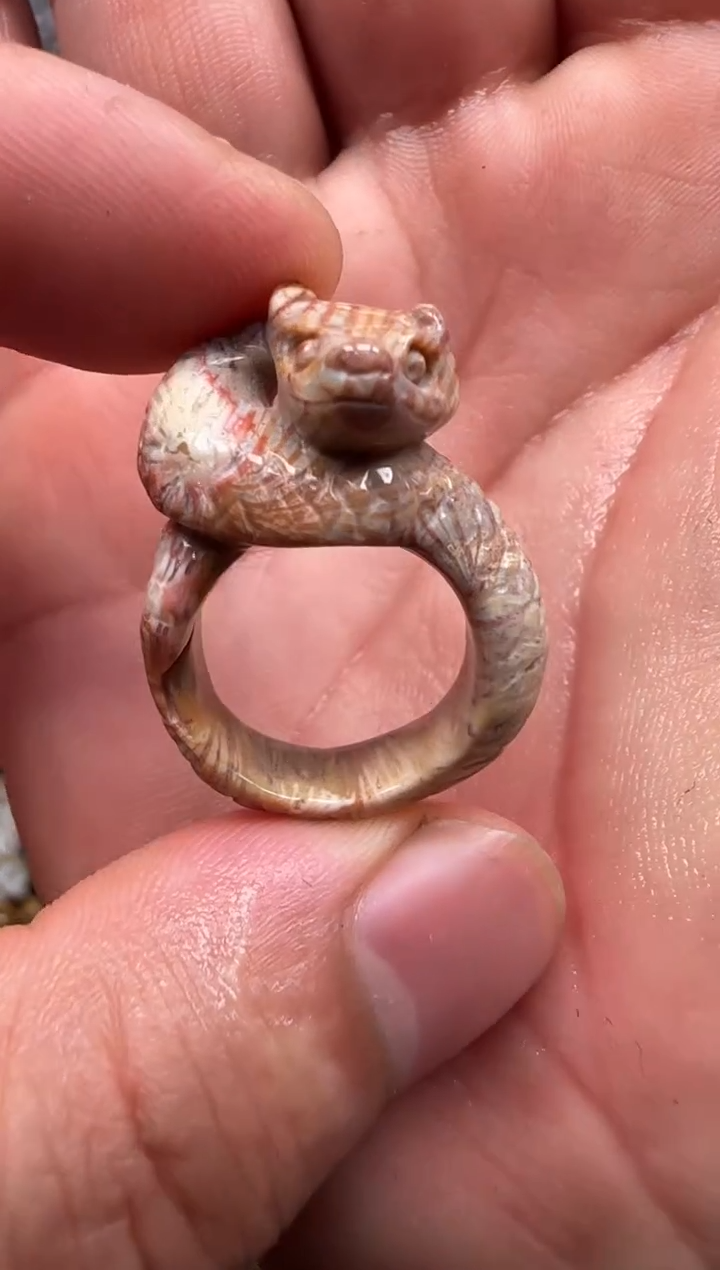 【闪购商品】硅化珊瑚（珊瑚玉）颈饰未镶嵌625