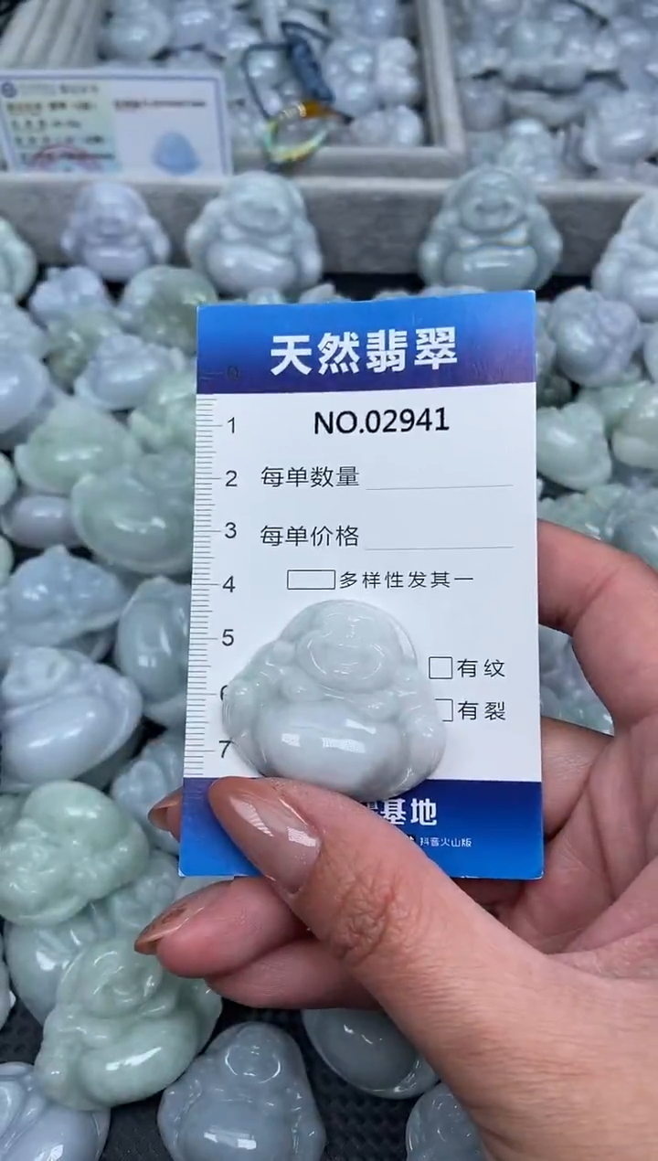 颈饰未镶嵌翡翠纯天然A货翡翠2941