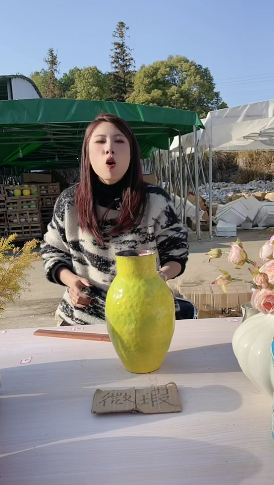 【闪购商品】陶瓷景德镇手工陶瓷推