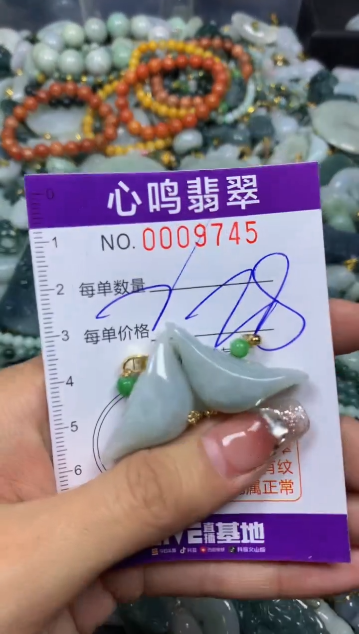 【闪购商品】翡翠颈饰未镶嵌闪购009745