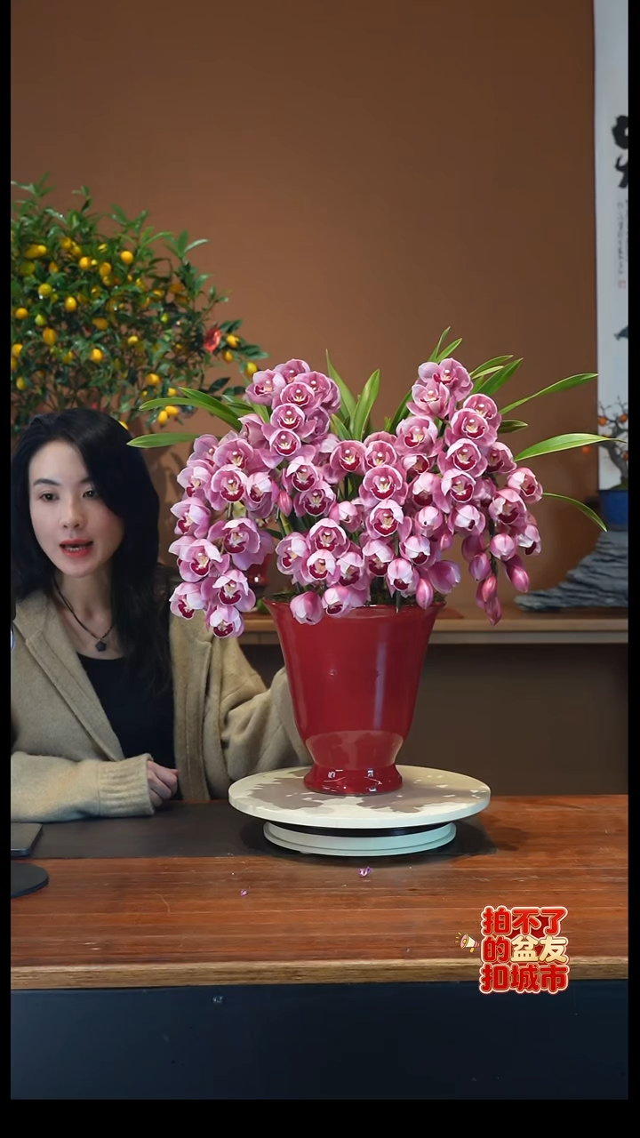 全部花朵红唇红盆