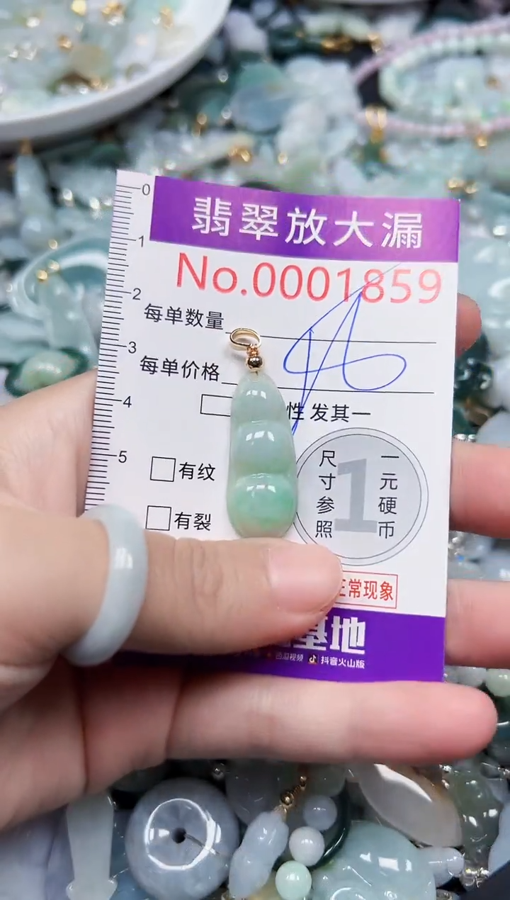 颈饰未镶嵌翡翠1859