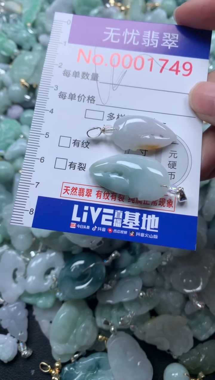 颈饰未镶嵌翡翠1749