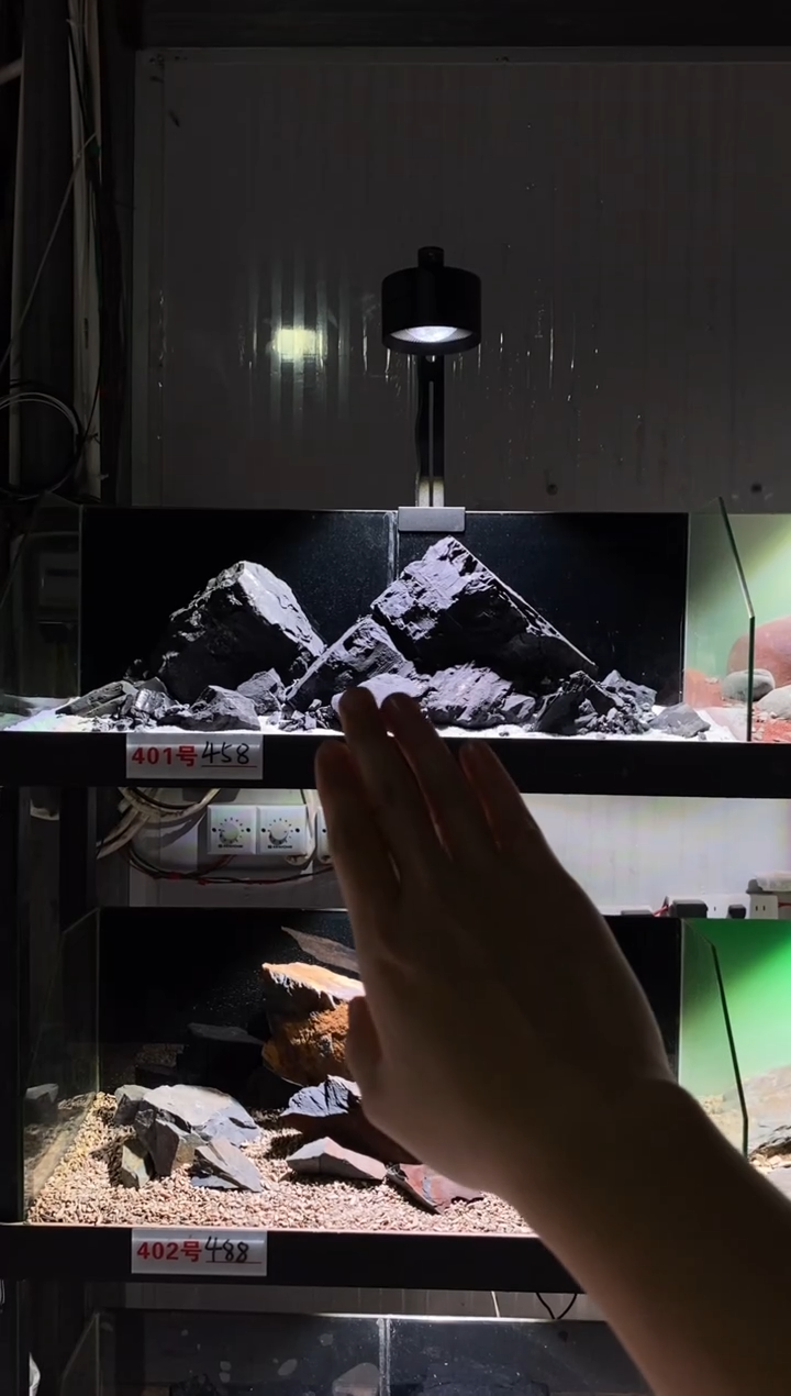 401号鱼缸造景（不含底砂）